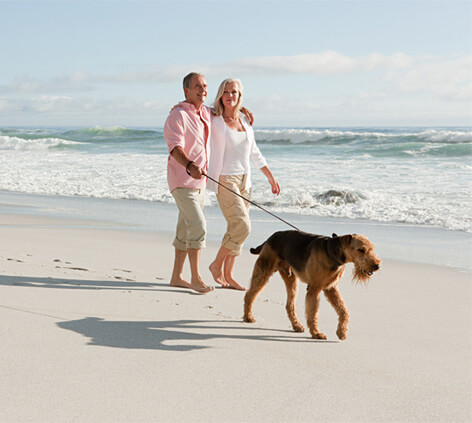 Image for Thing To Do Pet Friendly